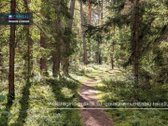 Parduodamas 4,35 A Sklypas Su Mūriniu Sodo - nuotraukos Nr. 14