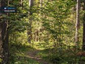 Parduodamas 4,35 A Sklypas Su Mūriniu Sodo - nuotraukos Nr. 15