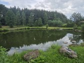 Parduodamas erdvus dviejų aukštų gyvenamasis - nuotraukos Nr. 8