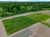 Parduodamas 15,4 ha žemės sklypas. 1,2 ha - nuotraukos Nr. 6