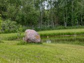 Parduodamas 15,4 ha žemės sklypas. 1,2 ha - nuotraukos Nr. 9