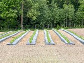 Parduodamas 15,4 ha žemės sklypas. 1,2 ha - nuotraukos Nr. 11