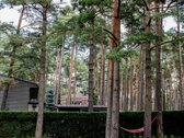 180 m² namas Giruliuose tarp pušų – iki jūros - nuotraukos Nr. 33