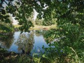Parduodama Sodyba Su 2,36 Ha Sklypu, Ūkiniais - nuotraukos Nr. 40