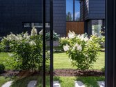Patrauklioje Palangos vietoje, netoli centro - nuotraukos Nr. 70