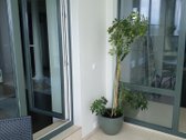 Išnuomojamas moderniai įrengtas 3-jų kambarių - nuotraukos Nr. 10