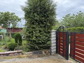 Parduodamas mūrinis 53,35 m² sodo namas su 6 - nuotraukos Nr. 3