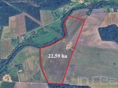 Parduodamas 22,59 Ha Sklypas Prie Lėvens Upės - nuotraukos Nr. 2