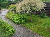 Sodo sklypas Kiškėnų km, s/b "Tolupis", - nuotraukos Nr. 6