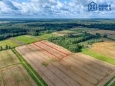 Parduodamas žemės ūkio paskirties sklypas - nuotraukos Nr. 3