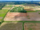 Parduodamas žemės ūkio paskirties sklypas - nuotraukos Nr. 7