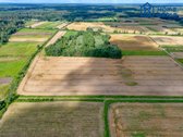 Parduodamas žemės ūkio paskirties sklypas - nuotraukos Nr. 8