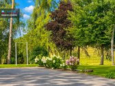 Reprezentacinė 6 Ha Rezidencija - Parkas - nuotraukos Nr. 18
