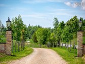 Šie namai Pikeliškėse atlieps tiek nuolatinės - nuotraukos Nr. 16