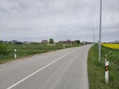 Parduodamas namų valdos sklypas Panevėžio r. - nuotraukos Nr. 2