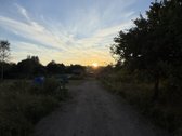 Parduodamas puikus tvarkingas sklypas salia - nuotraukos Nr. 8