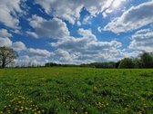 Puikus Pasiūlymas Nuolatiniam Gyvenimui Ar - nuotraukos Nr. 30