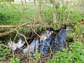 Puikus Pasiūlymas Nuolatiniam Gyvenimui Ar - nuotraukos Nr. 32