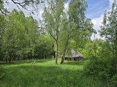Ant gražios kalvos, miškų apsuptyje, - nuotraukos Nr. 10