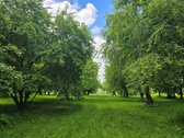 Kalvų, klonių ir žaliuojančių sodų apsuptyje - nuotraukos Nr. 32