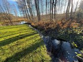 Ar Ir Jūs Pasiilgote Greitai Pasiekiamos - nuotraukos Nr. 14