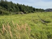 Parduodamas komercinės paskirties žemės - nuotraukos Nr. 8