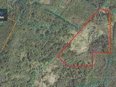 Parduodamas Žemės Ūkio Paskirties Sklypas - nuotraukos Nr. 2