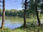 Druskininkų savivaldybėje, labai gražioje - nuotraukos Nr. 4
