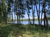 Druskininkų savivaldybėje, labai gražioje - nuotraukos Nr. 5
