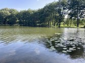 Druskininkų savivaldybėje, labai gražioje - nuotraukos Nr. 7
