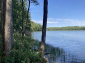 Druskininkų savivaldybėje, labai gražioje - nuotraukos Nr. 8