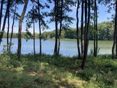 Druskininkų savivaldybėje, labai gražioje - nuotraukos Nr. 9