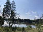 Druskininkų savivaldybėje, labai gražioje - nuotraukos Nr. 11