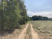 Druskininkų savivaldybėje, labai gražioje - nuotraukos Nr. 15