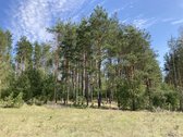 Druskininkų savivaldybėje, labai gražioje - nuotraukos Nr. 16
