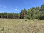 Druskininkų savivaldybėje, labai gražioje - nuotraukos Nr. 17