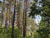 Druskininkų savivaldybėje, labai gražioje - nuotraukos Nr. 20