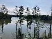 Druskininkų savivaldybėje, labai gražioje - nuotraukos Nr. 21