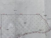 Druskininkų savivaldybėje, labai gražioje - nuotraukos Nr. 23