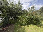 Skubiai parduodama tvarkinga sodyba Raseinių - nuotraukos Nr. 12