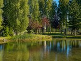 Parduodamas Išskirtinis Sklypas Galgiuose, - nuotraukos Nr. 13