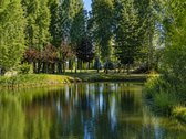 Parduodamas Išskirtinis Sklypas Galgiuose, - nuotraukos Nr. 16