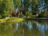 Parduodamas Išskirtinis Sklypas Galgiuose, - nuotraukos Nr. 17