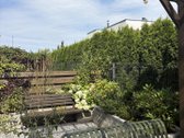 Nuomojamas stilingas ir jaukus, pilnai - nuotraukos Nr. 18