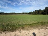 Miskas nebuvo kirstas,vyrauja lapuociai - nuotraukos Nr. 4