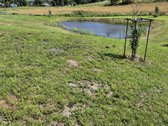 Parduodamas 28 a namų valdos sklypas Vilkiautinyje - nuotraukos Nr. 16