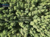 Parduodamas 4,35 A Sklypas Su Mūriniu Sodo - nuotraukos Nr. 16
