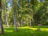 Sklypas Prie Ežero Ir Miško. Įrengtos - nuotraukos Nr. 8