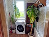 Parduodamas Namas Stonų G. Raseiniuose - nuotraukos Nr. 17