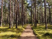3 kambarių pilnai įrengti apartamentai Nidoje - nuotraukos Nr. 24